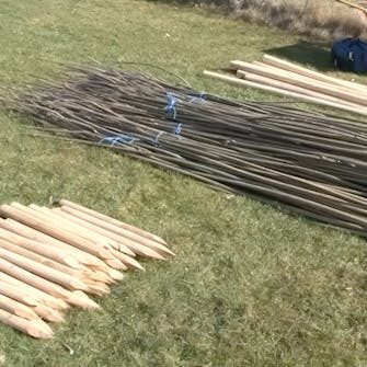 pileflet hegn pileflet hegn